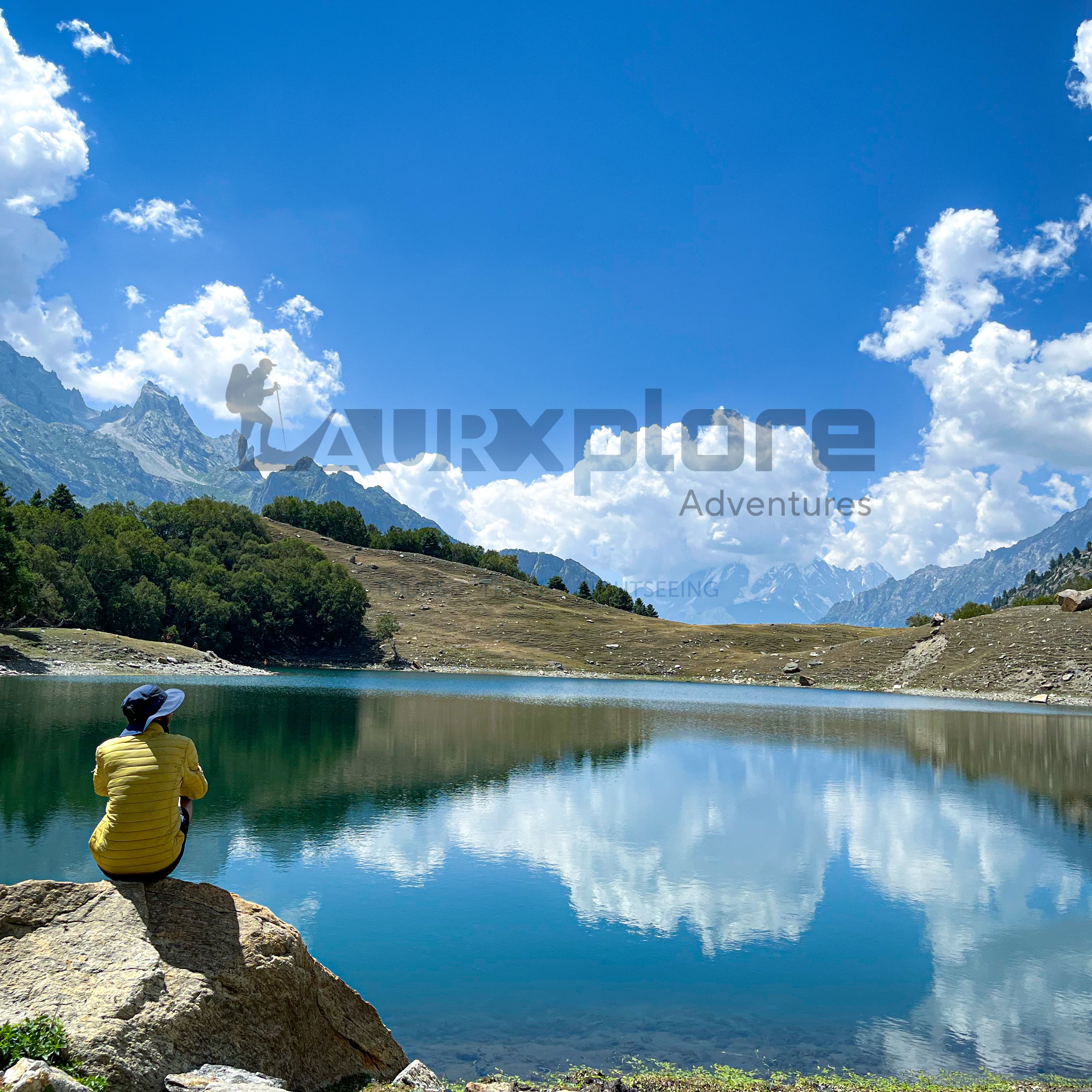 Spring’s Pink Whisper: Why You Need to See the Northern Pakistan Blossom (2026)