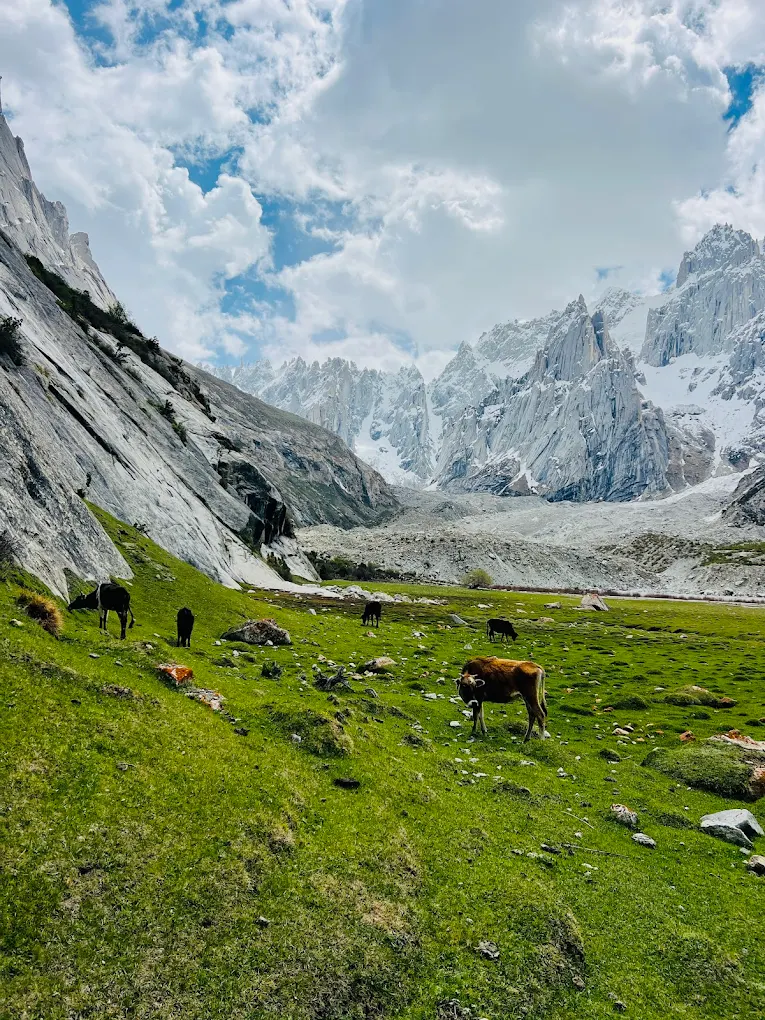 Nangma Valley Trek